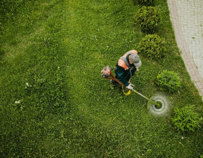 Rasenpflege Sunnygarden